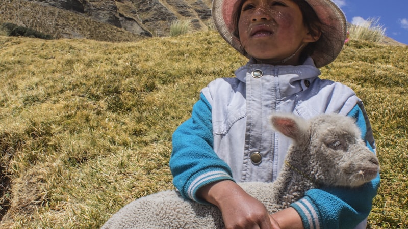 NBA季后赛凯尔特人队对阵热火队比赛现场直播 - 塔图姆三分投篮